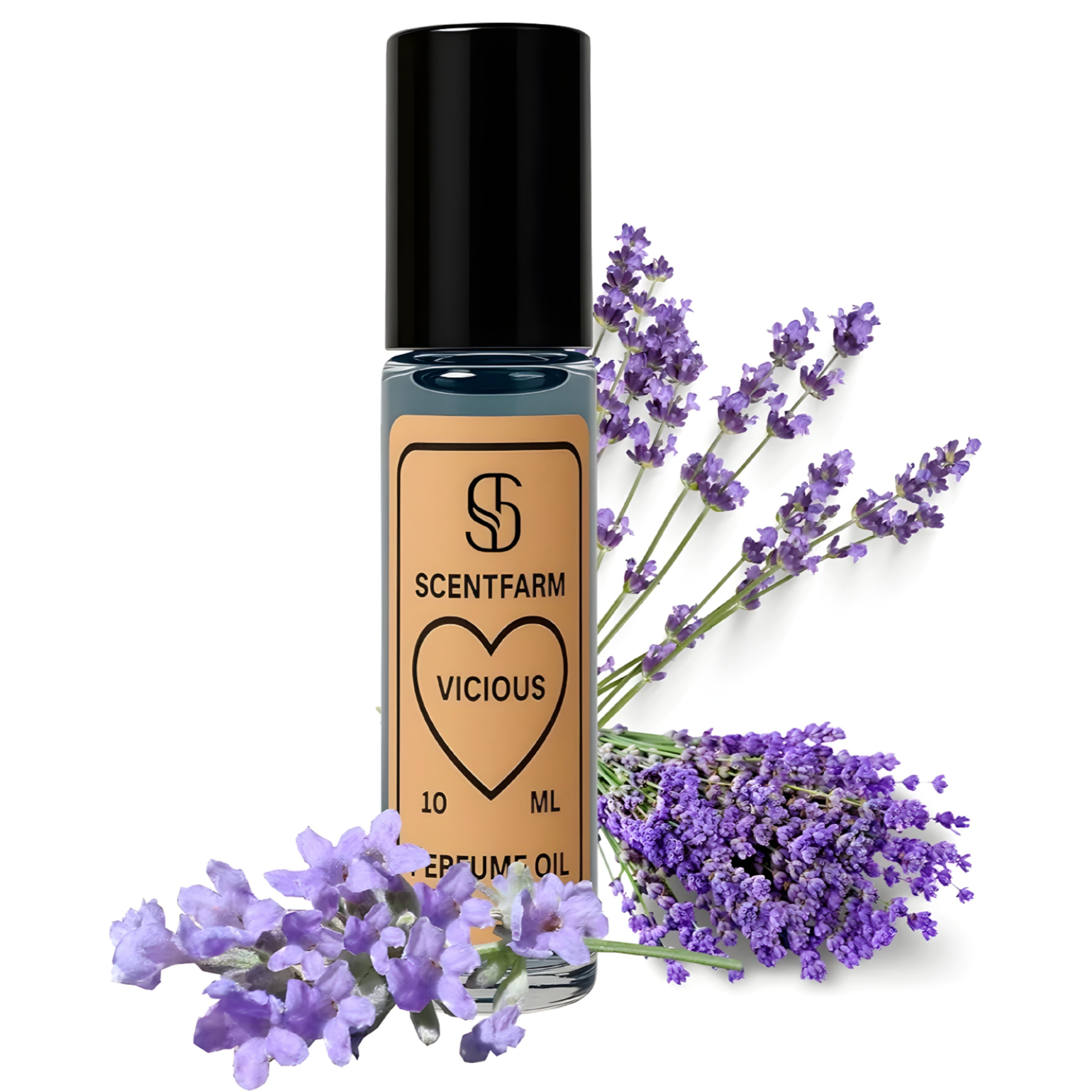 Vicious Body Perfume Oil, Roll-On Cologne For Men, Long-Lasting, Alcohol-Free Floral, Fresh Spicy Musky Amber Fragrance Oils, 10ML