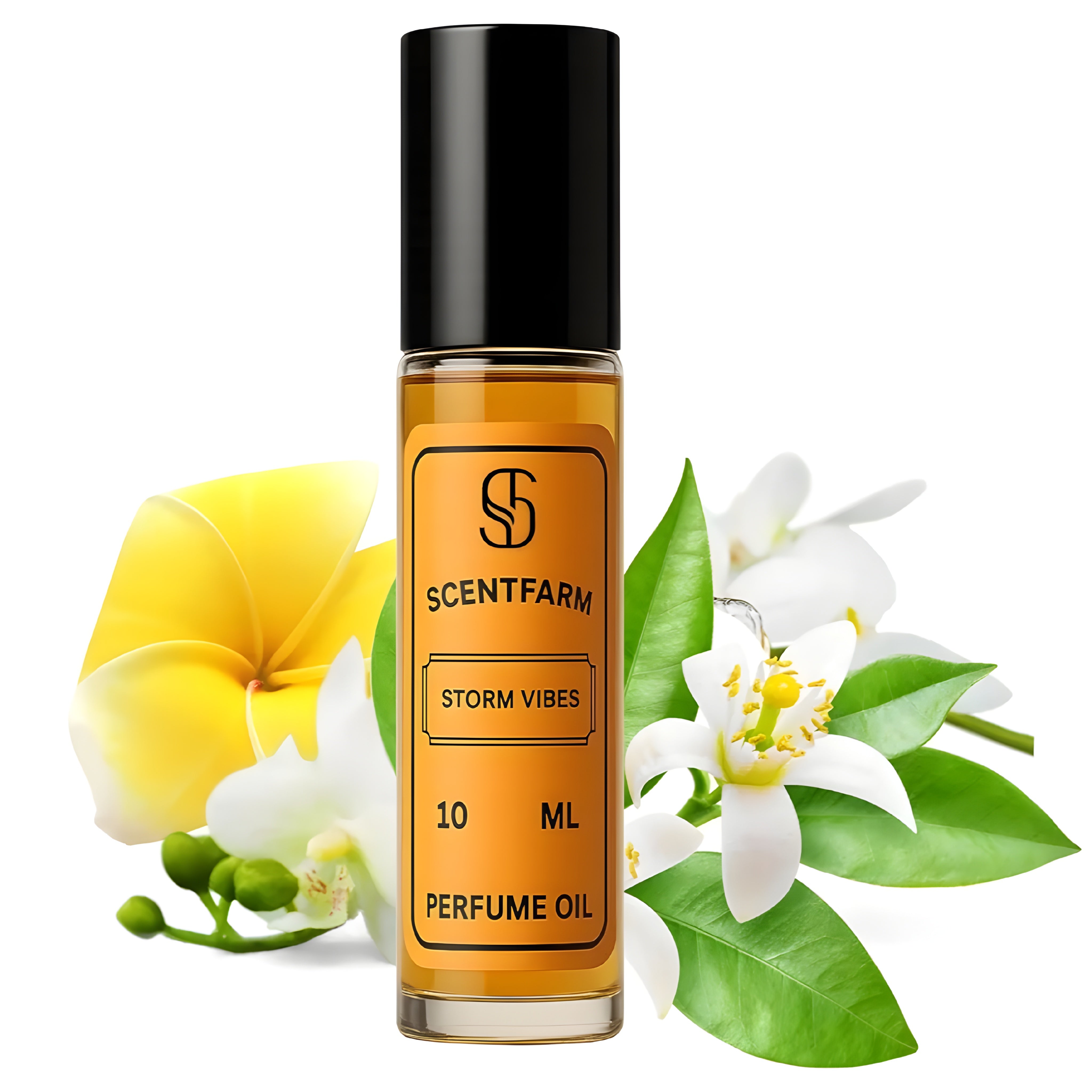 Storm Vibes Body Perfume Oil Roll-On Cologne For Men, Long Lasting, Alcohol Free Travel Size Fragrance Oil, Tonka Bean, Amber and Leather 10ML
